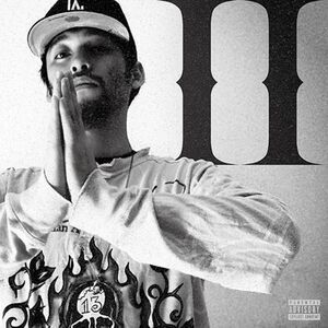 Aiwabeatz - Like No Other II  LP LP